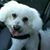 Ed Gantzer's profile image