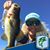 Marybeth Kelly's profile image