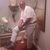 Ray Walton's profile image