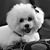 Lynne White Hughston's profile image