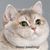 Kat Cortinas's profile image