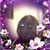 Geneva Sparrow's profile image