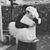 Jacob Minella's profile image