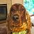 Ginger Kenney's profile image