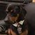 Kelly Call's profile image