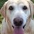 Katrina Carlson Ivanoff's profile image