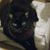Mary Nelson's profile image