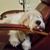 Franklin Tye Babb's profile image