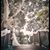 Kaitlin Nevins's profile image