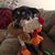 Andrea Manhart's profile image
