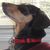 Janet Stockard's profile image