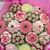 Claudia Schuner's profile image