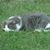 Debbie Denese Cunningham's profile image
