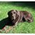 Jim Milnor's profile image
