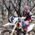 Chris Suttles's profile image