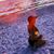 Kylee Ellise Milstead's profile image