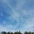 Tina L Richmond Kiesewetter's profile image