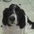 Betty Davis Berger's profile image