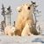 Blanca Sanchez's profile image