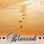 Donna Centorrino Netzley's profile image