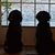 Donna MacKinnon Taylor's profile image