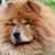 Doryan Jarrell-Flathau's profile image