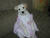 Candy W.'s profile image