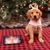 Melissa Ann Stokes Kuri's profile image