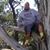 Christopher Elliott's profile image