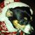 Bonnie Cochran's profile image