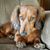Pam Hanson's profile image