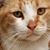 Roberto Caminante's profile image