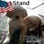 Linda Hopkins's profile image