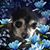 Elaine Owen's profile image