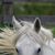 Regina Maynard's profile image