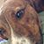 Jean Isaacs's profile image