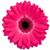 Julie Prater's profile image
