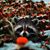 Meredith Broadhurst's profile image