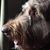 Dawn Fisher Love's profile image