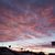 Judy Biehn's profile image