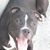 Luis Manuel Isidro Alcon's profile image