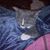 Anthony Borrie's profile image