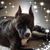 Cindy Munroe's profile image