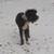 John Dolci's profile image