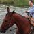 Morgaine Dayton's profile image