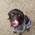 Heather Blaha's profile image