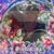 Gladys Ninfa Raola's profile image