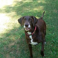 Paulette Baker's profile image