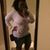 Marie Diaz's profile image