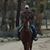 Roger Johnstone's profile image